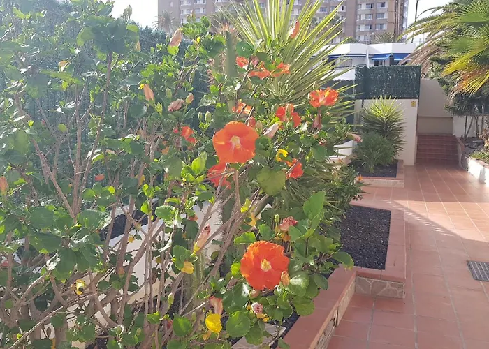 Martina 67 Sur Y Sol Los Cristianos Διαμέρισμα